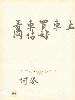 看车买车上什么网站好