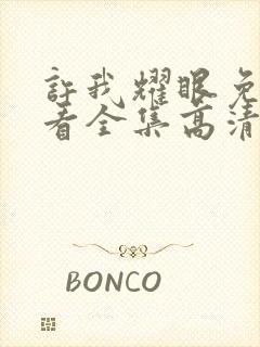 许我耀眼免费观看全集高清完整版电视剧