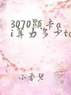 3070显卡ai算力多少tops