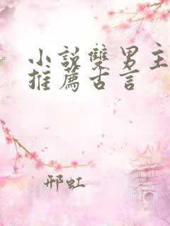 小说双男主男友推荐古言