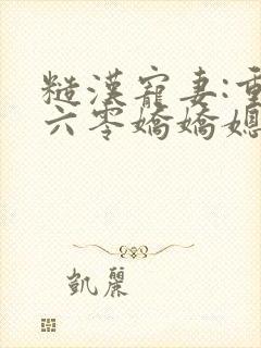 糙汉宠妻:重生六零娇娇媳小说