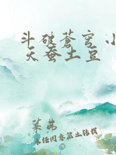 斗破苍穹 小说 天蚕土豆