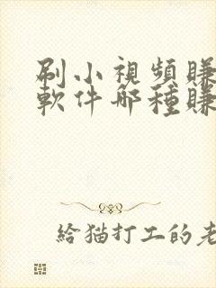 刷小视频赚钱的软件哪种赚钱多