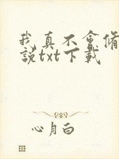 我真不会修仙小说txt下载