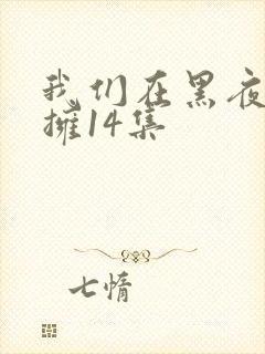 我们在黑夜中相拥14集
