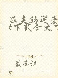 匹夫的逆袭txt下载全文下载