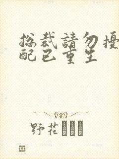 总裁请勿扰 原配已重生