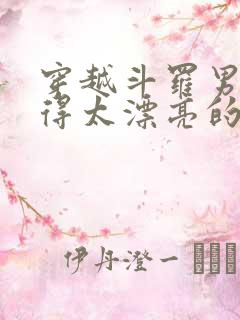 穿越斗罗男主长得太漂亮的小说