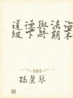 道德与法治七年级下册期末复习教案