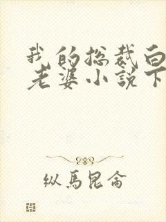 我的总裁白富美老婆小说下载