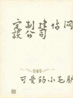 定制建站网站建设公司