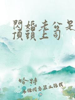 闪婚老公是我的顶头上司