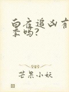 白夜追凶有第二季吗?