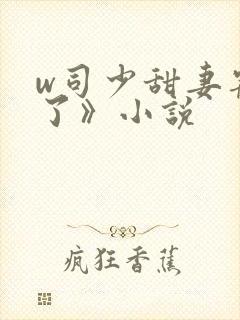 w司少甜妻宠定了》小说