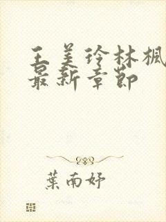 王美玲林枫小说最新章节