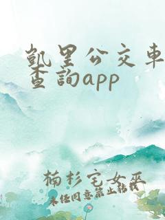 凯里公交车实时查询app