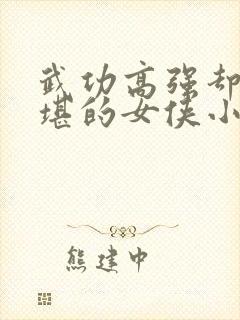 武功高强却又不堪的女侠小说