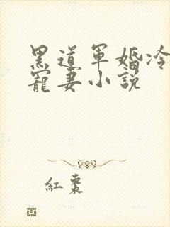 黑道军婚冷枭的宠妻小说