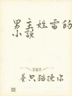 男主姓雷的总裁小说