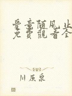 爱意随风止短剧免费观看全集