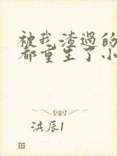 被我渣过的男主都重生了小说