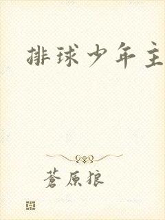 排球少年主受