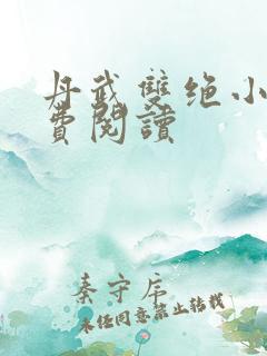 丹武双绝小说免费阅读