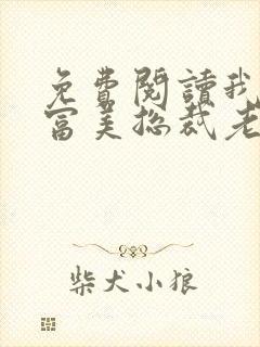 免费阅读我的白富美总裁老婆全文