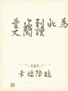 爱你到此为止全文阅读