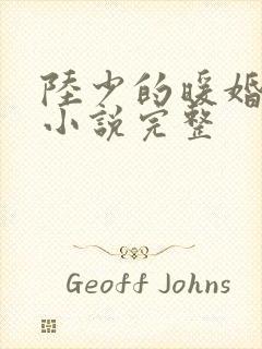 陆少的暖婚新妻小说完整