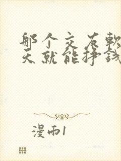 那个交友软件聊天就能挣钱