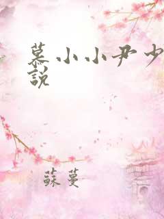 慕小小尹少桀小说