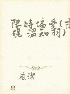 限时偏爱(霍司砚 温知羽)