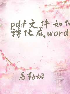 pdf文件如何转化成word文档