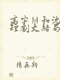 高宇川和沈瑶初短剧大结局