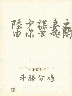 陆少谋妻之婚不由你笔趣阁