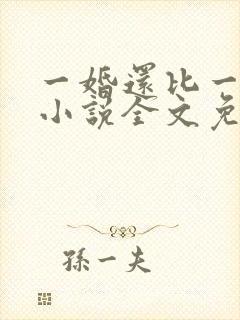 一婚还比一婚高小说全文免费阅读