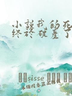 小说我的死对头终于破产了