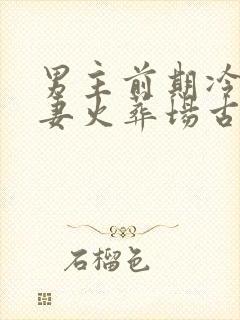 男主前期冷淡追妻火葬场古言