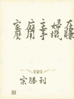 家庭主妇在家怎么用手机赚钱