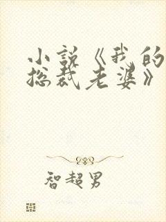 小说《我的冰山总裁老婆》