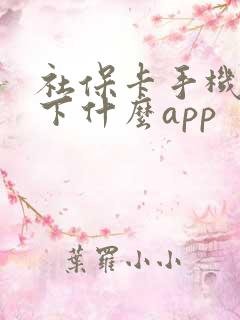 社保卡手机银行下什么app