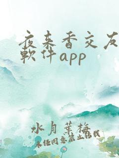 夜来香交友聊天软件app