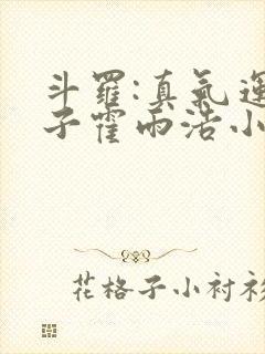 斗罗:真气运之子霍雨浩小说