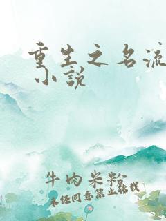 重生之名流巨星 小说