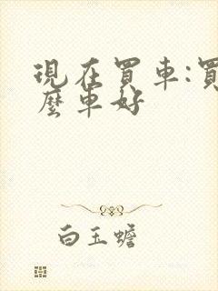 现在买车:买什么车好