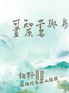 可知子与鸟君漫画原名
