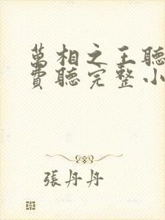 万相之王听书免费听完整小说