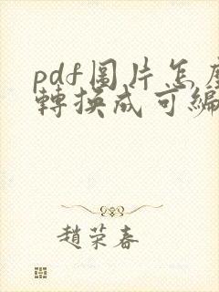 pdf图片怎么转换成可编辑的文档