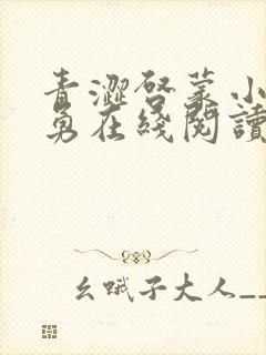 青涩启蒙小说张勇在线阅读全文